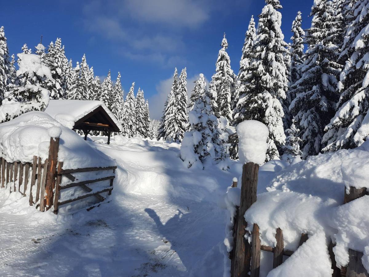 Vila Jelena Jahorina Esterno foto