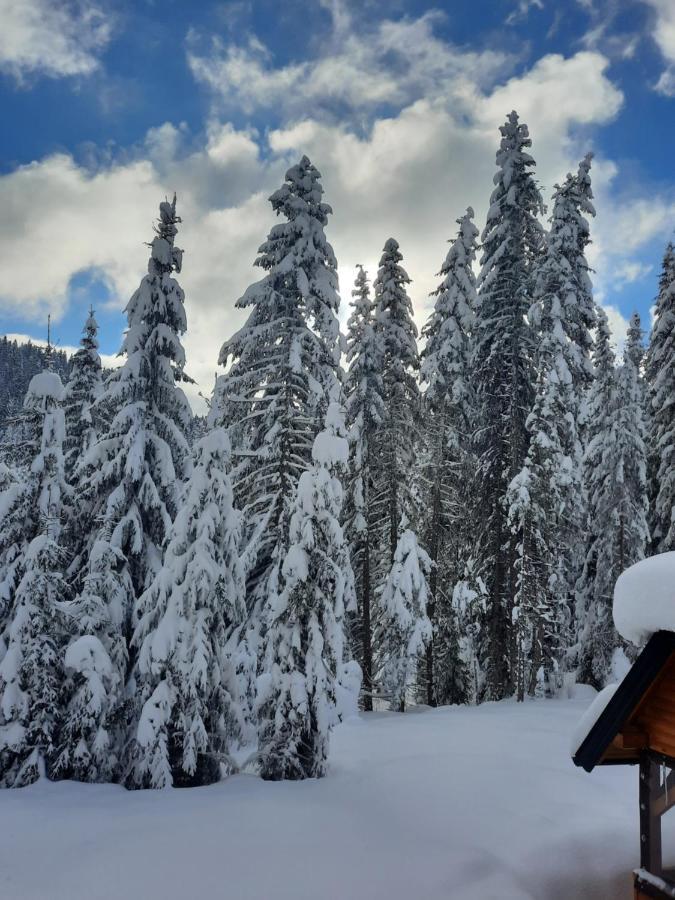 Vila Jelena Jahorina Esterno foto