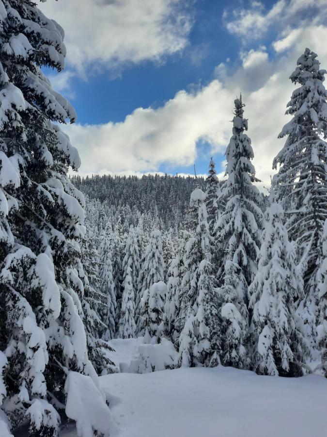 Vila Jelena Jahorina Esterno foto