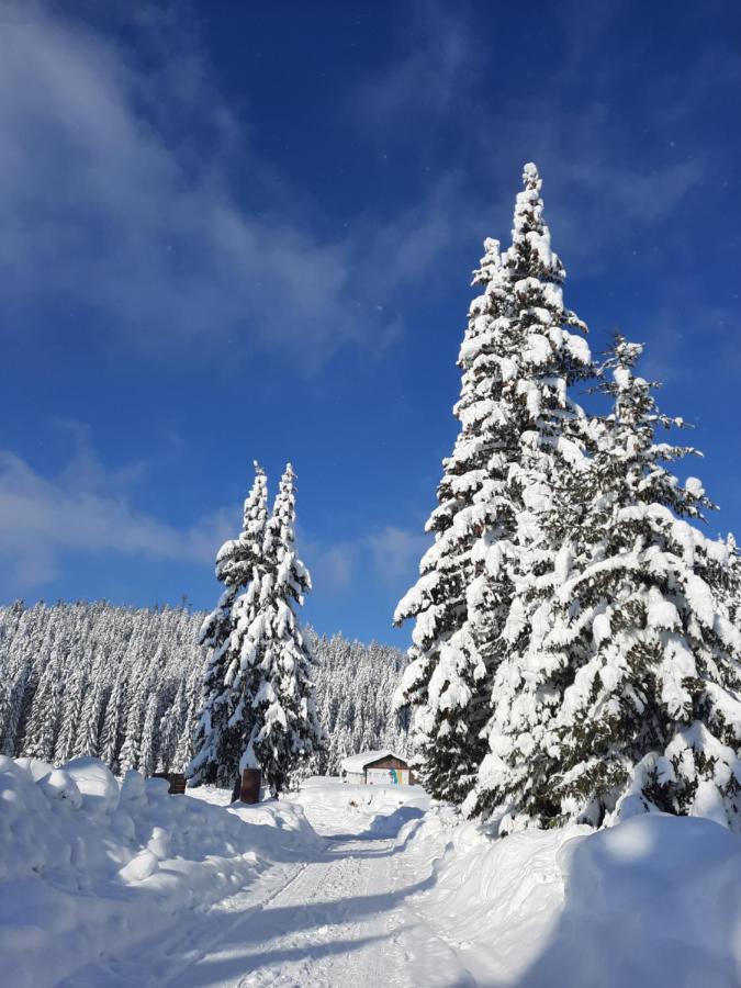 Vila Jelena Jahorina Esterno foto