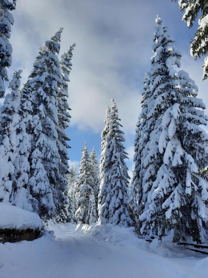 Vila Jelena Jahorina Esterno foto