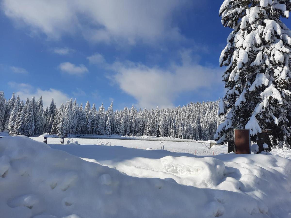 Vila Jelena Jahorina Esterno foto